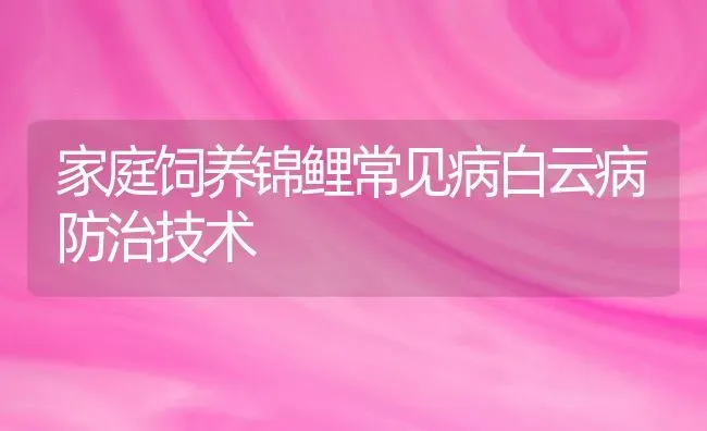 家庭饲养锦鲤常见病白云病防治技术 | 宠物病虫害防治