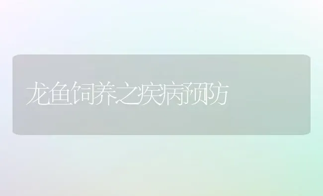 龙鱼饲养之疾病预防 | 宠物病虫害防治