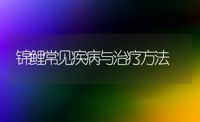 锦鲤常见疾病与治疗方法 | 宠物病虫害防治