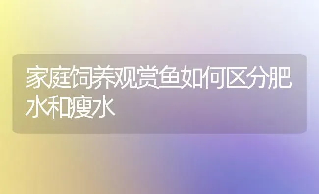 家庭饲养观赏鱼如何区分肥水和瘦水 | 鱼类宠物