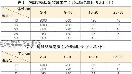 锦鲤运输技术探讨