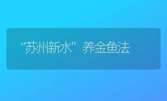 “苏州新水”养金鱼法 | 鱼类宠物