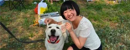 拉布拉多寻回犬耐寒程度 拉布拉多耐寒性中等 | 拉布拉多