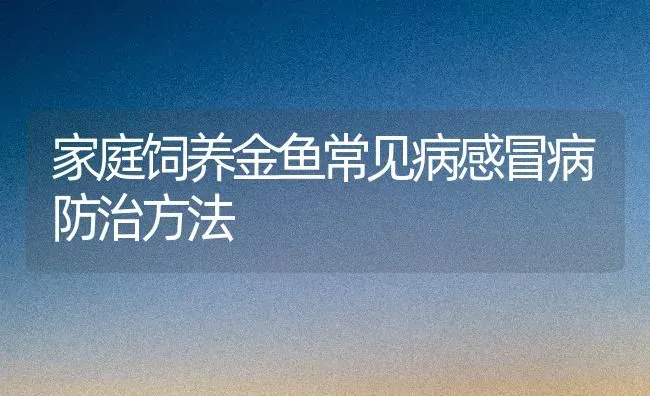 家庭饲养金鱼常见病感冒病防治方法 | 宠物病虫害防治