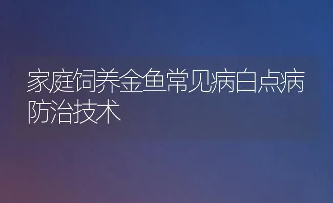 家庭饲养金鱼常见病白点病防治技术 | 宠物病虫害防治