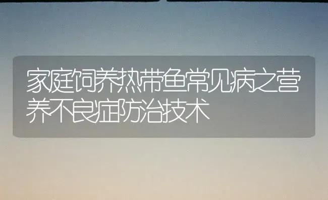 家庭饲养热带鱼常见病之营养不良症防治技术 | 宠物病虫害防治