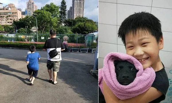 已经抱不动啦！时隔一年弟弟和狗狗长大了 | 狗