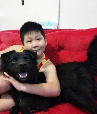 已经抱不动啦！时隔一年弟弟和狗狗长大了 | 狗