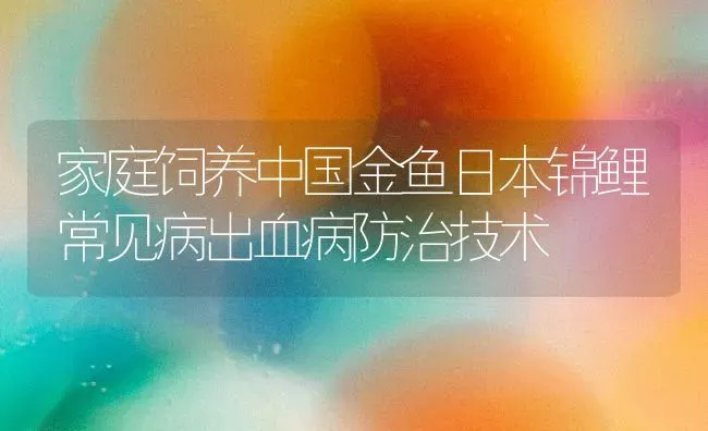 家庭饲养中国金鱼日本锦鲤常见病出血病防治技术 | 宠物病虫害防治