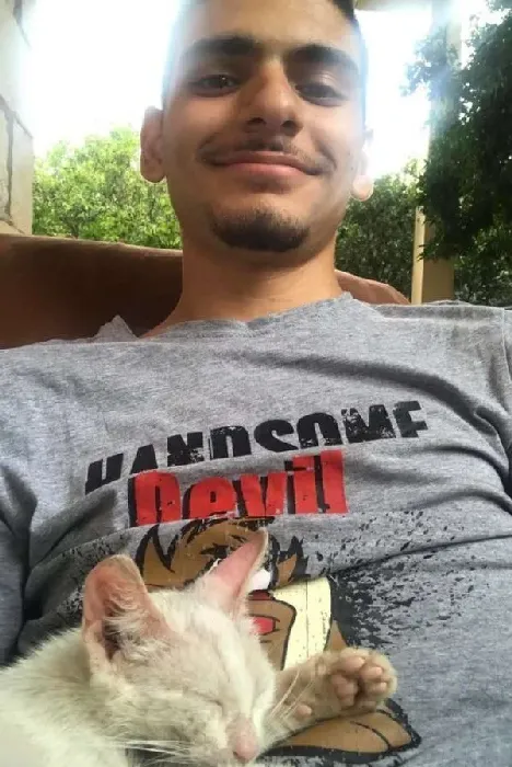 小猫擅躺人家肚子上睡得超香 醒来就拥有一个家了 | 猫