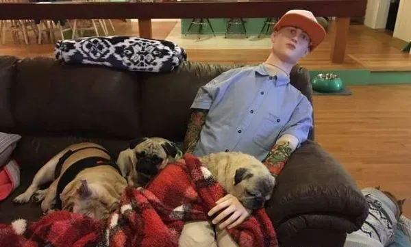 焦虑症巴哥犬超黏爸拔 假把拔的到来安抚它