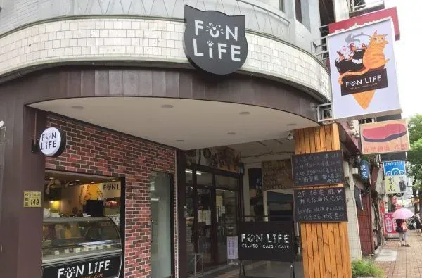 猫咪游乐园主题餐厅  成为未来流浪喵们的庇护所 | 猫