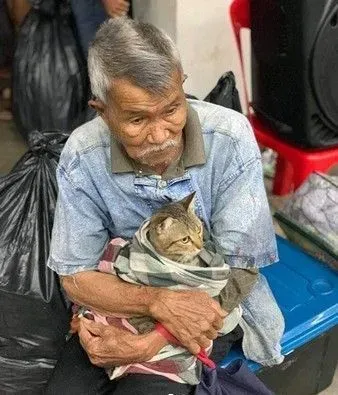 台风来袭泰国南部 老爷爷紧紧抱着爱猫逃难 | 猫