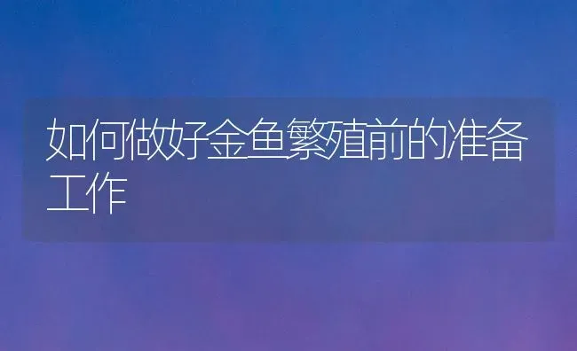 如何做好金鱼繁殖前的准备工作 | 鱼类宠物