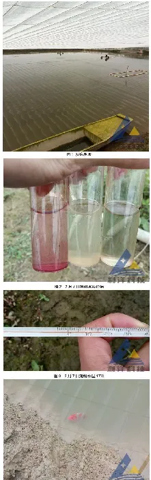 冬棚养殖血鹦鹉鱼水霉病的处理