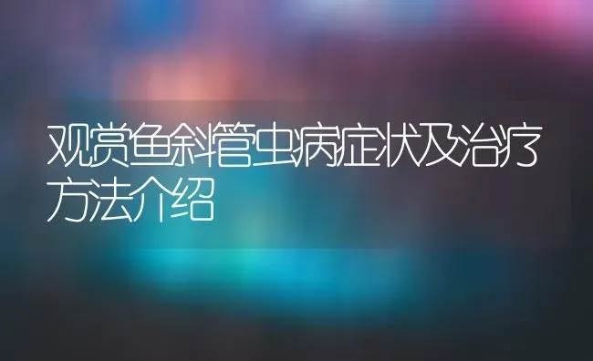 观赏鱼斜管虫病症状及治疗方法介绍 | 宠物病虫害防治