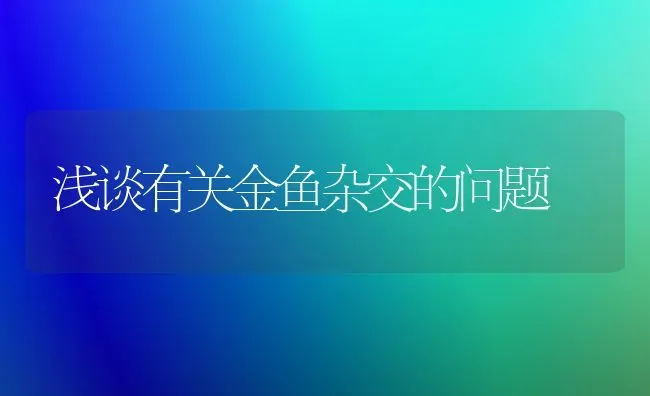 浅谈有关金鱼杂交的问题 | 鱼类宠物