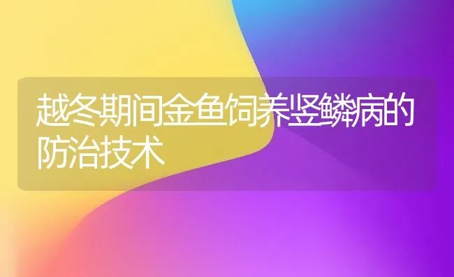 越冬期间金鱼饲养竖鳞病的防治技术 | 宠物病虫害防治
