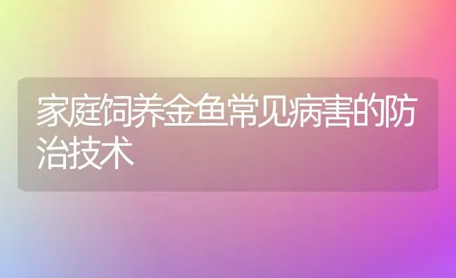 家庭饲养金鱼常见病害的防治技术 | 宠物病虫害防治