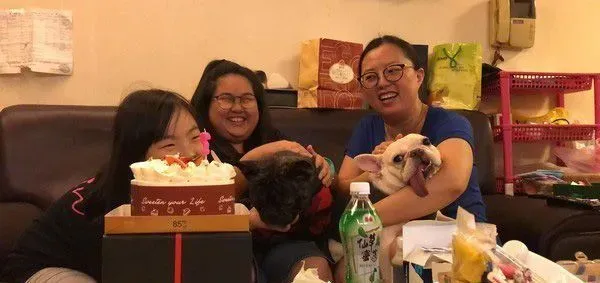 法斗兄弟散步回家 靠门睡吐舌变极致凤眼
