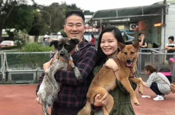 动物之家当志工 找到女友领养毛小孩变一家四口 | 狗