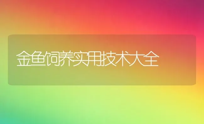 金鱼饲养实用技术大全 | 鱼类宠物