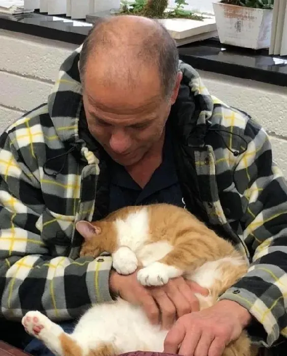 超委屈！三岁橘猫因为太粘人 惨遭主人弃养 | 猫