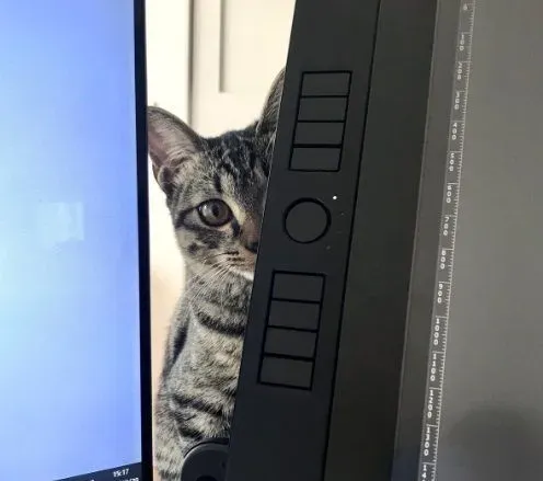 想要跟猫主子一起上班 现实根本不是一回事啊