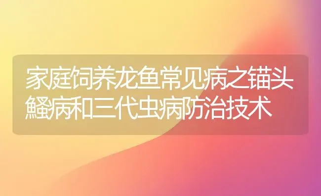 家庭饲养龙鱼常见病之锚头鰠病和三代虫病防治技术 | 宠物病虫害防治