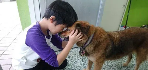 男孩每节下课都会去找校犬 上演偶像剧画面 | 狗