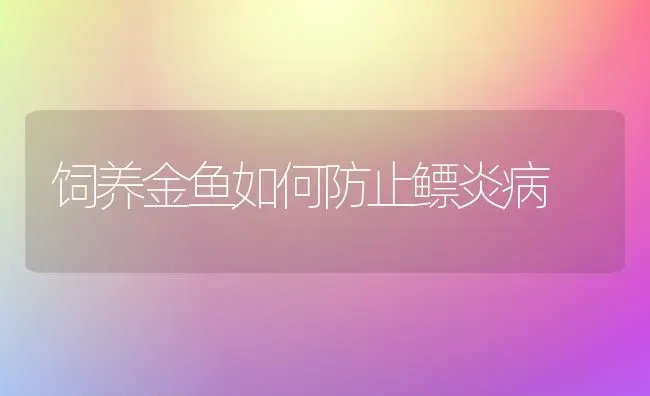 饲养金鱼如何防止鳔炎病 | 宠物病虫害防治