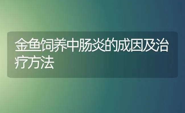 金鱼饲养中肠炎的成因及治疗方法 | 鱼类宠物