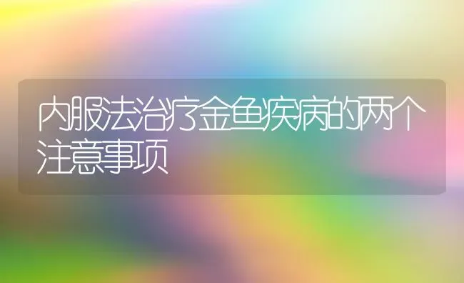 内服法治疗金鱼疾病的两个注意事项 | 宠物病虫害防治