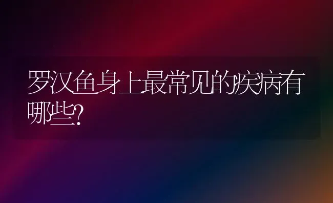 罗汉鱼身上最常见的疾病有哪些？ | 宠物病虫害防治