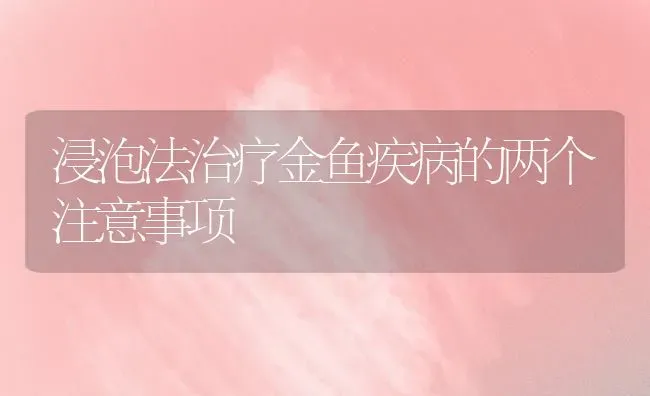 浸泡法治疗金鱼疾病的两个注意事项 | 宠物病虫害防治