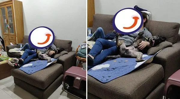 汪在妈咪怀中翻肚脚开开 开心到忘记收舌头 | 狗