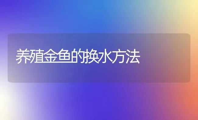 养殖金鱼的换水方法 | 鱼类宠物