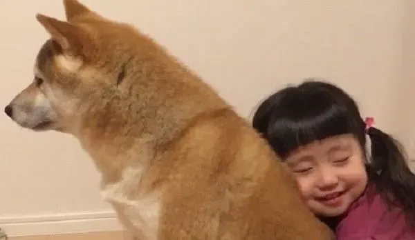 最爱的就是哥哥! 女孩紧抱柴哥哥超幸福画面 | 狗