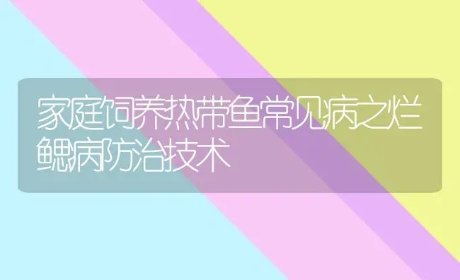 家庭饲养热带鱼常见病之烂鳃病防治技术 | 宠物病虫害防治