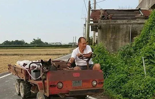 阿嬷抵不住金孙塞乃亲手喂肉 宠孙程度百分百