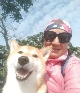 上班看到这份小惊喜 汪汪举双手投降样子超萌
