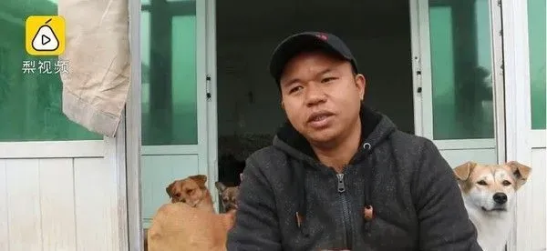 收养200多只浪浪 花光积蓄还和女友分手了 | 狗