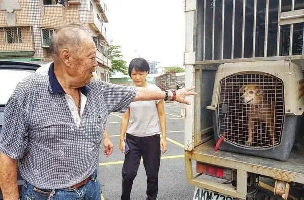 老人与狗 高龄老人不舍送高龄狗动保处 | 狗