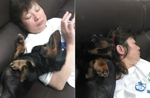 和狗狗一起生病差点被送养 如今成妈妈亲生的 | 狗