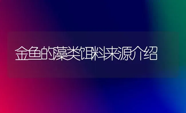 金鱼的藻类饵料来源介绍 | 鱼类宠物