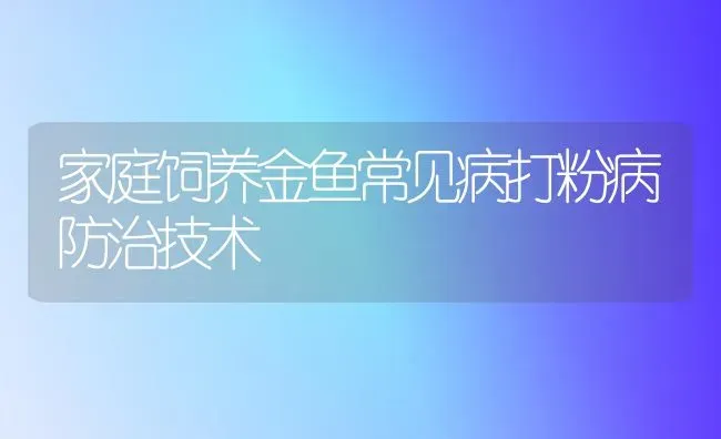 家庭饲养金鱼常见病打粉病防治技术 | 宠物病虫害防治