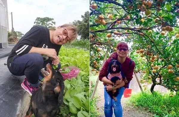 和狗狗一起生病差点被送养 如今成妈妈亲生的