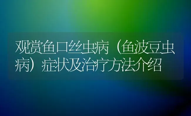 观赏鱼口丝虫病（鱼波豆虫病）症状及治疗方法介绍 | 宠物病虫害防治