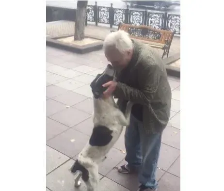 男子丢失爱犬寻找三年 路边重逢画面超感人