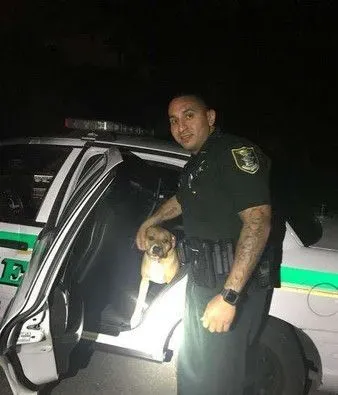 走失汪敲警车门寻求帮助 超暖警察半夜开车送回家